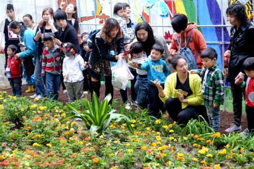 4月27日，游客在“蝴蝶谷”觀賞花叢中的蝴蝶。