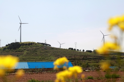 這是5月6日拍攝的山東威海中廣核風(fēng)電場(chǎng)。