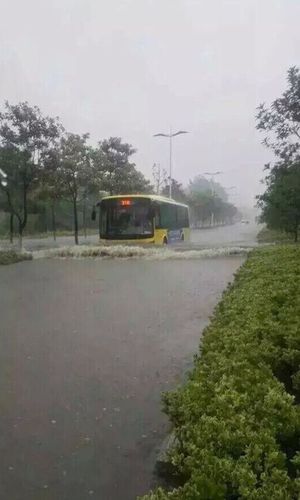 暴雨積水導致各重要路口、路段均出現(xiàn)了大范圍堵塞情況。