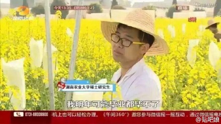 曝大學生實驗田油菜花被游客摘 或無法畢業(圖)