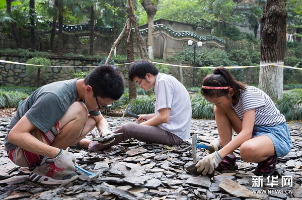 8月21日，市民在南京古生物博物館參加“砸化石”活動。1