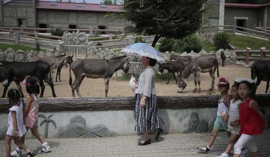 朝鮮平壤動物園里啥模樣？“狗屋”是最熱門景點