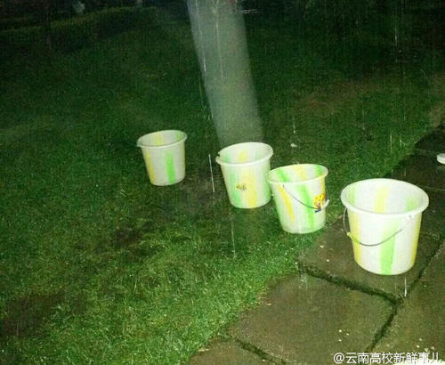 圖為學生拿桶接雨水。