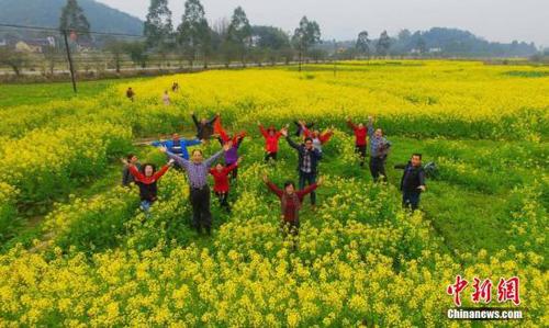 2月14日，廣西柳州市融安縣大良鎮和南村的油菜花花開正盛。在農業部門的指導下，當地農民在油菜花田里種出“稻油油增收夢”字樣，吸引了不少游客前來旅游觀光。該縣摸索出一套“稻油油”(水稻+油葵+油菜)模式，在提高農田的使用率的同時，發展生態農業觀光旅游，促進農民增收。譚凱興 攝