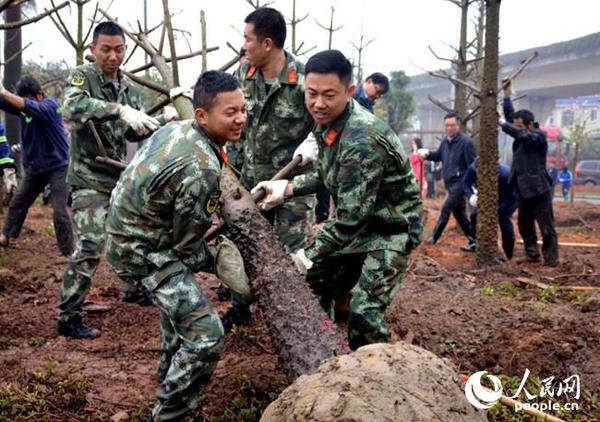 海警官兵植樹節種下“廣州市花”表達軍民魚水情