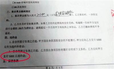 王小姐與卓新智趣簽訂的集訓協議，中途退學違約金為5000元。