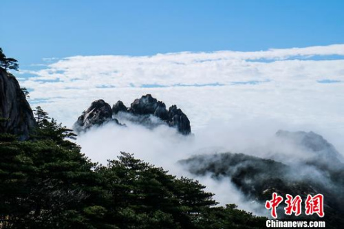  9日，安徽黃山風景區經過昨夜雷雨天氣的洗禮，云海、佛光等壯麗風景展現在游客們的眼前?！±罱饎?攝