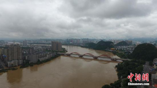 資料圖：7月3日，因受連日暴雨影響，廣西柳江河柳州段出現超警戒水位。 王以照 攝