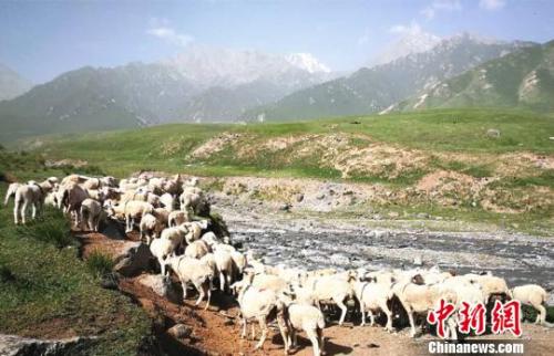 資料圖：夏日的祁連山風(fēng)景如畫。　郎文瑞 攝