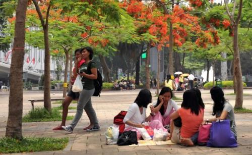 資料圖片：在香港維多利亞公園休息的菲傭。新華社記者 陳曉偉 攝