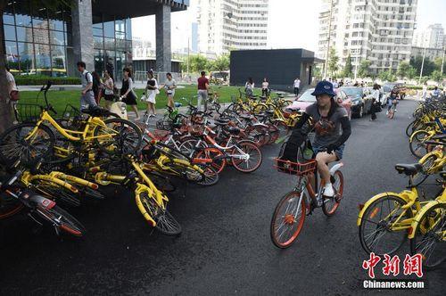 8月3日，北京街頭的共享單車。<a target='_blank' href='http://www.chinanews.com/'>中新社</a>記者 侯宇 攝