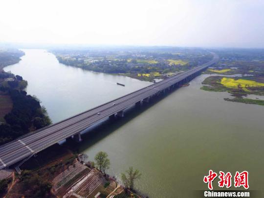 成安渝高速公路沱江河特大橋。　楊雨蒙 攝