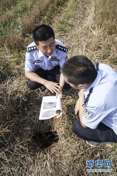 “秦都遺址”被盜案 盜墓者曾參加文物普查