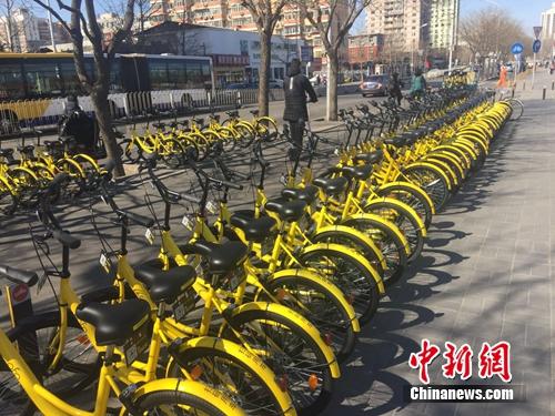 資料圖：一排共享單車整齊碼放。<a target='_blank' href='http://www.chinanews.com/' >中新網</a> 吳濤 攝