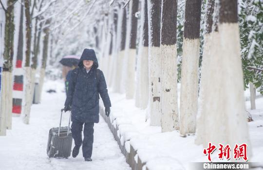 暴雪中的行人。　張婭子 攝