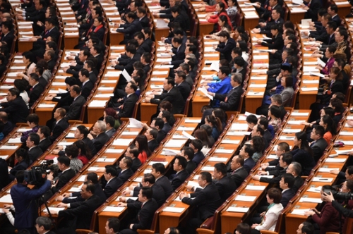 （8）十三屆全國人大一次會議舉行第二次全體會議