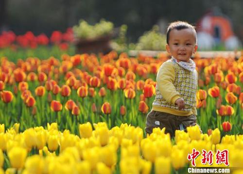 3月22日，小朋友在江西九江市濂溪區的九江新湖郁金香花博會現場玩耍?！『鷩帧z