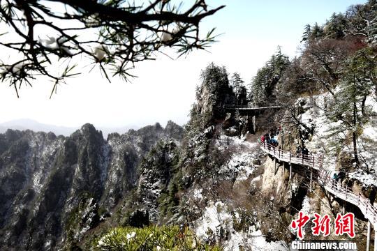 雪后老君山呈現峰林美景 王中舉 攝