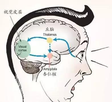 為何有人聽到指甲劃黑板的聲音就狂躁？