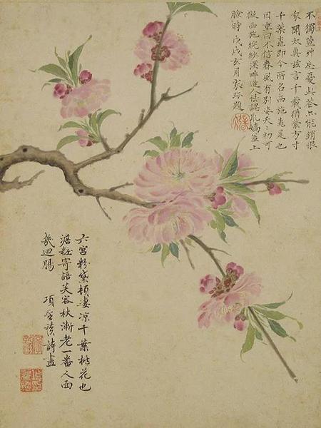 明 項(xiàng)圣謨《花卉圖冊(cè)》