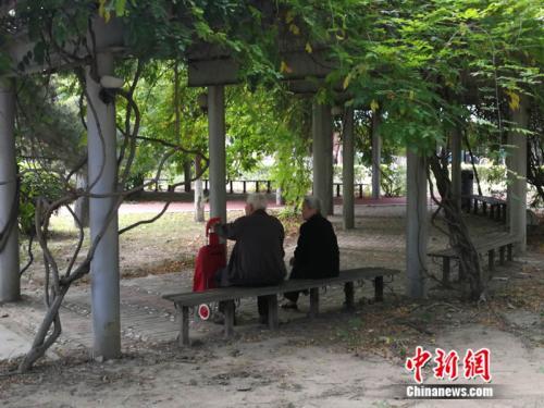 資料圖 <a target='_blank' href='http://www.chinanews.com/' >中新網</a>記者 張尼 攝