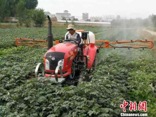 資料圖：農(nóng)民給馬鈴薯噴灑追肥。陳得軍 攝