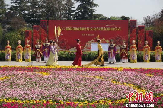 牡丹領(lǐng)群芳洛陽牡丹文化節(jié)賞花活動啟動