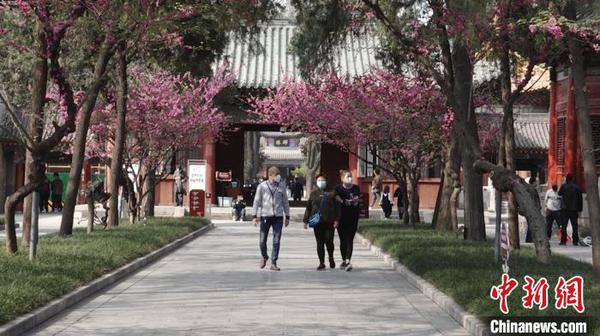 陜西博物館“線上云游”對接“實地看展”民眾“花式刷館”