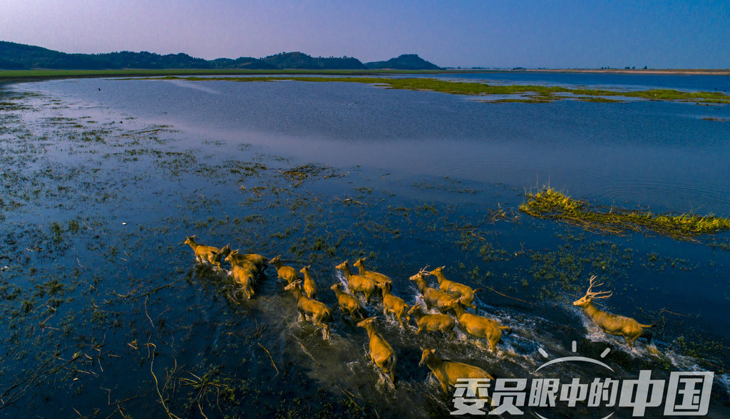 馳騁天地間