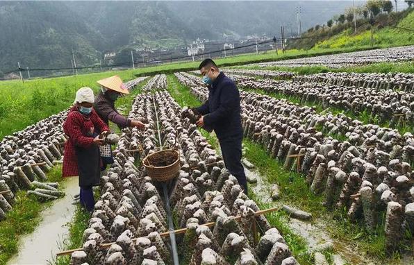 “村看村，戶看戶，群眾看黨員，黨員看干部”